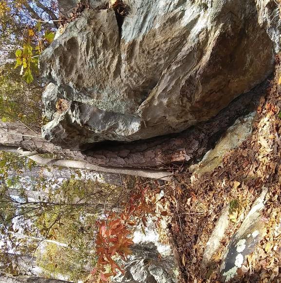 Meet your Posher, Lucia - Picture 1 of 1